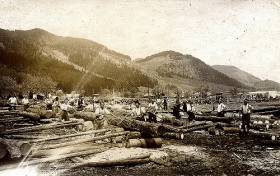 Holzbearbeitung in Bahnhofs Nhe