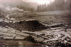 Der Holzlagerplatz Gr�nanger
