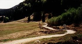 Die Trasse oberhalb der Valepperalmen