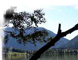 Blick von der Insel W�rth �ber den Schliersee